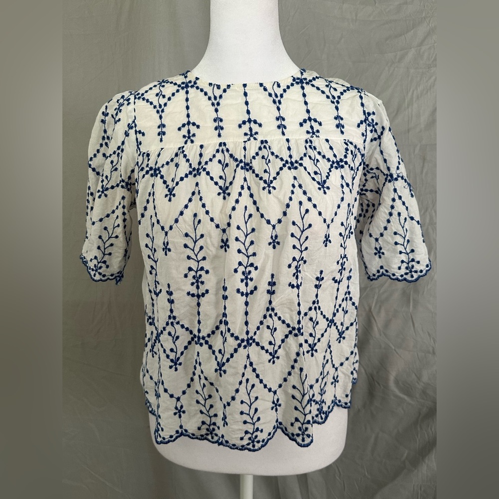 Floral Embroidered Blue and White Crop Top
